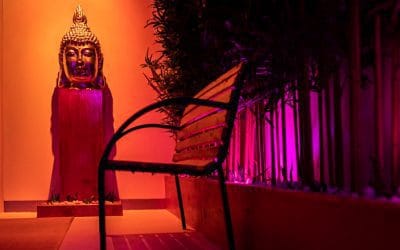 Looking for a Different Experience in Lisbon?
