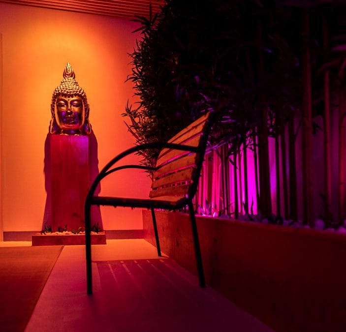Looking for a Different Experience in Lisbon?