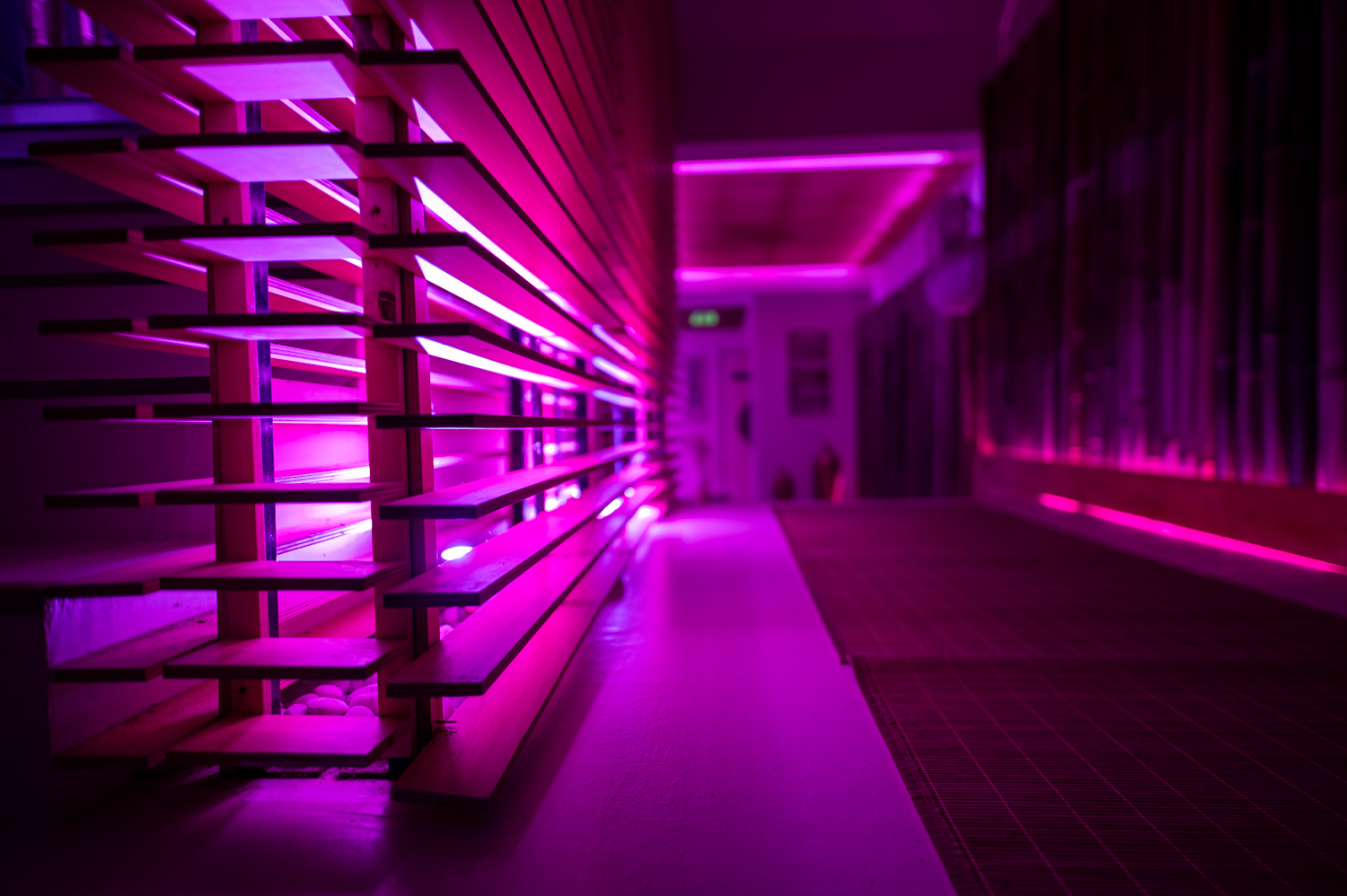 Corredor do Paradise Lisbon com iluminação rosa.