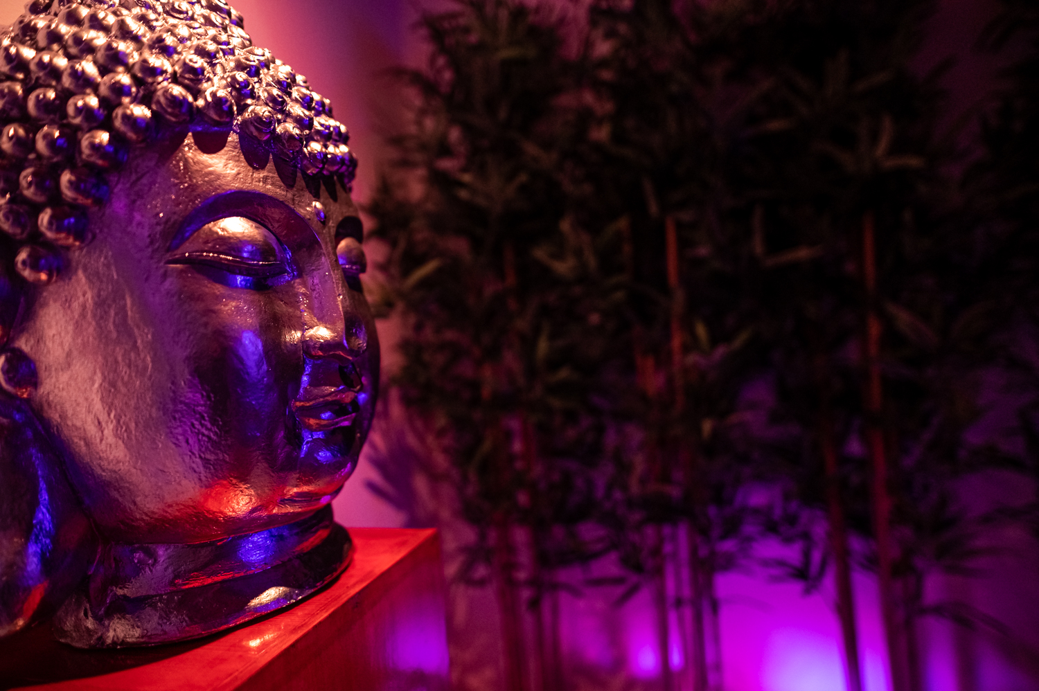 Estatua de Buda em bronze com iluminação colorida em ambiente zen.